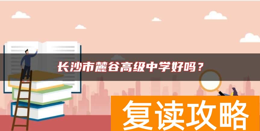 长沙市麓谷高级中学好吗？